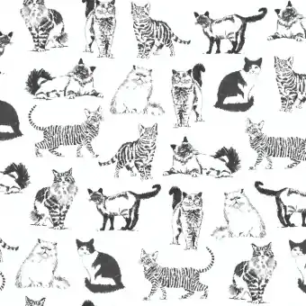 Jetzt Kaufen Schwarz-Weißer Katzenstoff – White Sketched Realistic Cats – Timeless Treasures Motivstoff mit Kätzchen
