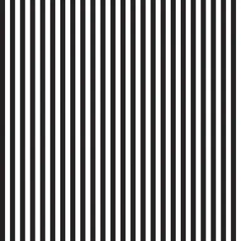 1/4″ Quarter Inch Stripes Black & White – Schwarz-Weißer Streifenstoff – Riley Blake Basicstoffe Meterware Handgefertigt