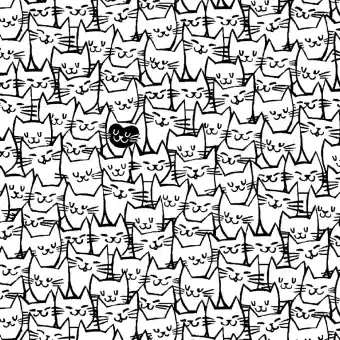 Überbreiter schwarz-Weißer Katzenstoff – Another point of View – Happy Cats 108 inches Quilt Back Rückseitenstoff – Whistler Studios for Windham Fabrics Patchworkstoffe Sichere Zahlung