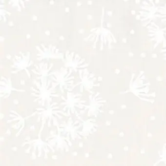 Weiße Pusteblumen auf Weiß Neue Ware