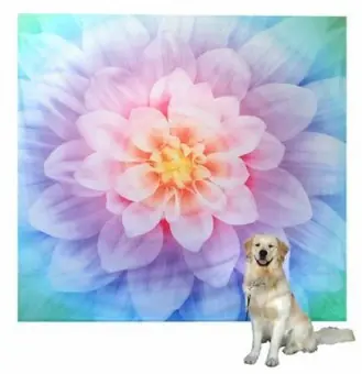 Top-Angebot XXXL DIGITALDRUCK! Blumenpanel – Opal EXTRA LARGE Flower – Dream Bigger Digital Collection – 108″ x 108 inches