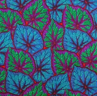 Cobalt Begonia Leaves Blätterstoff – Phillip Jacobs for Kaffe Fassett Collective Stash Designerstoffe Wochenendangebot