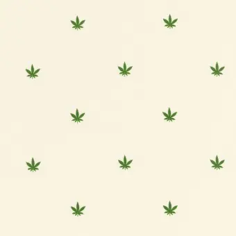 Schneller Versand Cannabis American Minis Marijuana Pimatex – Robert Kaufman Motivstoff