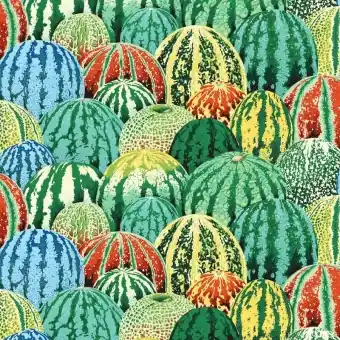Green Watermelons Wassermelonen – Kaffe Fassett Collective Designerstoffe – Philip Jacobs Patchworkstoff Meterware Abverkauf