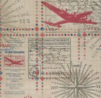 Kostenloser Rückversand Flugzeug-Baupläne & Flugtickets – Red in Transit Airplanes – Tim Holtz Eclectic Elements Patchworkstoffe