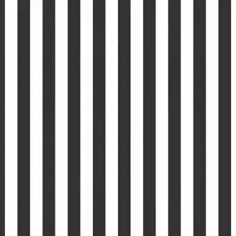 1/2″ Half Inch Stripes Black & White – Schwarz-Weißer Streifenstoff – Riley Blake Basicstoffe Meterware Nur Für Kurze Zeit