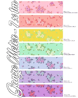 7x 1m Stoffpaket „What a Ditz!“- Tula Pink’s 50th Collection Bundle Designerstoffe – FreeSpirit Patchworkstoffe – True Colors ’25 – GANZE METER Online Kaufen