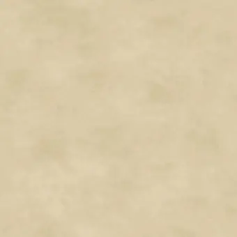 Soft Tan Shadow Play Marble – Beiger Basicstoff „Shadowplay“ von Maywood Studios Tonal Beliebt