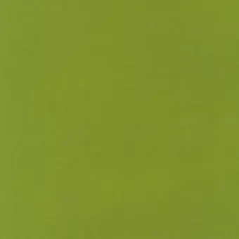 Gecko Green / Grün – Kona Cotton Solids Unistoffe – Robert Kaufman Fabrics Baumwollstoff Schneller Versand