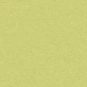 Cactus / Frisches Kaktusgrün – Kona Cotton Solids Unistoffe Garantierte Lieferung