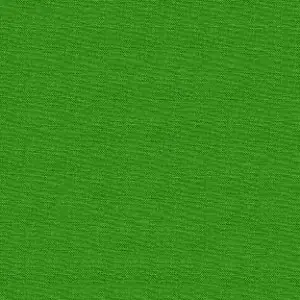 Lime Green / Limettengrün – Kona Cotton Solids Unistoffe Jetzt Zugreifen