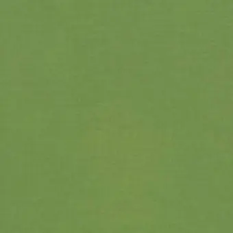 Garantierte Lieferung Peridot / Olivingrün- Kona Cotton Solids Unistoffe