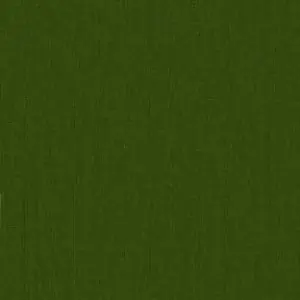 Solange Der Vorrat Reicht Avocado / Grün – Kona Cotton Solids Unistoffe