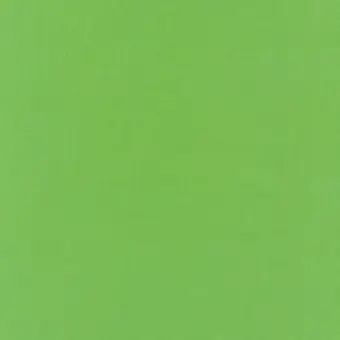 Aktuell Botanical Green / Botanik-Grün – Kona Cotton Solids Unistoffe – Robert Kaufman Fabrics Baumwollstoff