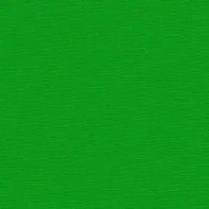 Kracherpreis Clover Green / Kleegrün – Kona Cotton Solids Unistoffe