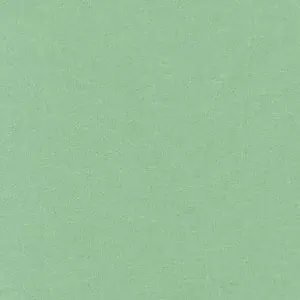 Top-Preis Asparagus / Spargelgrün – Kona Cotton Solids Unistoffe