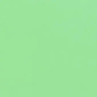 Letzte Chance Parakeet Green / Wellensittich-Grün – Kona Cotton Solids Unistoffe