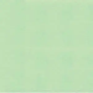 Neue Ware Mint / Minzgrün – Kona Cotton Solids Unistoffe