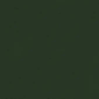 Direktkauf Evergreen / Immergrün – Kona Cotton Solids Unistoffe