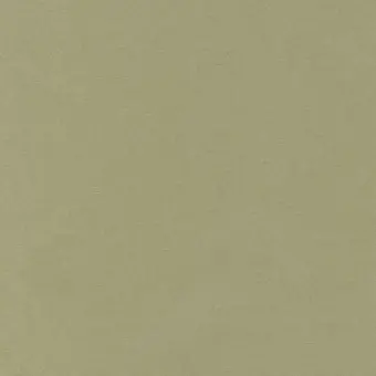 Kostenfreie Lieferung Herb Green / Kräutergrün – Kona Cotton Solids Unistoffe