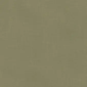 Sweet Pea Green / Graugrün – Kona Cotton Solids Unistoffe Online Kaufen