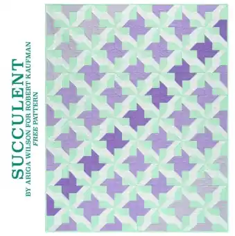 Super-Preis MATERIALPACKUNG! Succulent Quilt mit Anleitung – KONA Cottons Julep Color of the Year 2024 Ariga Wilson Patchworkdecke Stoffpaket – LIMITED EDITION