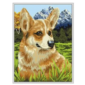Paint By Numbers Corgi beim Spaziergang Direkt Vom Hersteller
