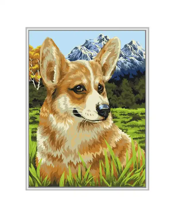 Paint By Numbers Corgi beim Spaziergang Direkt Vom Hersteller