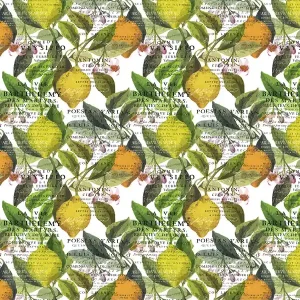 Letzte Chance Meterware Zitrus