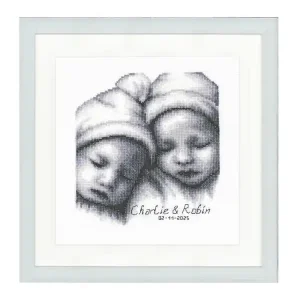 Original Stickpackung Geburtsbild Zwillinge