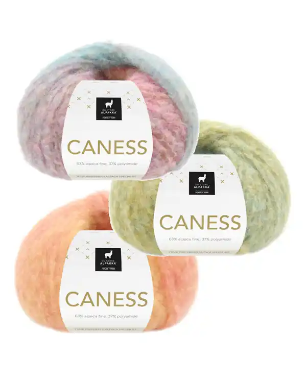 Garn Caness 100g Super-Preis