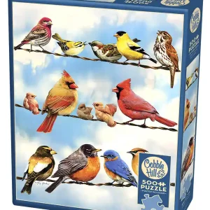 Puzzle Vögel 500 Teile Solange Der Vorrat Reicht