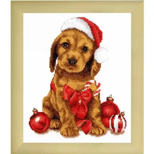 Online Kaufen Bild Weihnachtswelpe