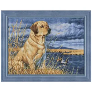 Günstig Diamond painting Labrador