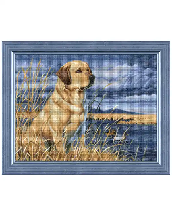 Günstig Diamond painting Labrador