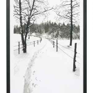 Kostenfreie Lieferung Bild Grafische Natur