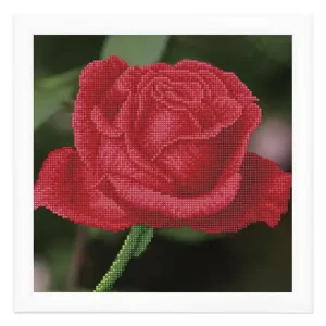 Diamond Dotz Rosen Saisonangebot