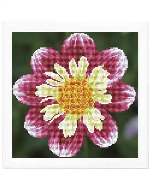 Diamond Dotz Daisy-A-Day Geprüft