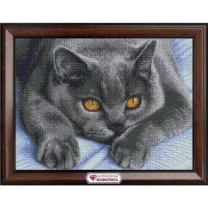 Expressversand Diamond painting Katze