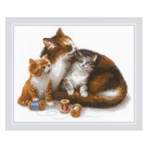 Preisknaller Bild Katzen mit Garn