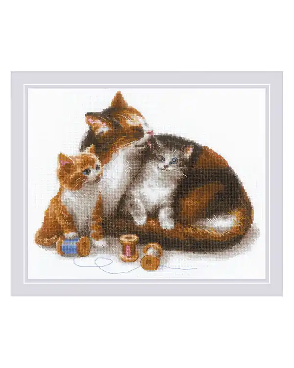 Preisknaller Bild Katzen mit Garn