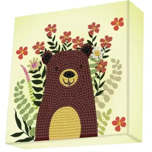 Dotz Box Bär Top-Angebot