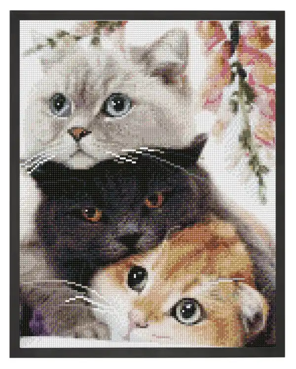 Diamond painting Katzen Garantierte Lieferung