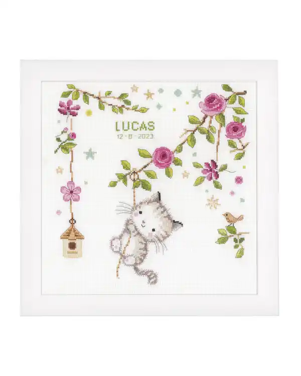 Stickpackung Bild Katze Direkt Vom Hersteller