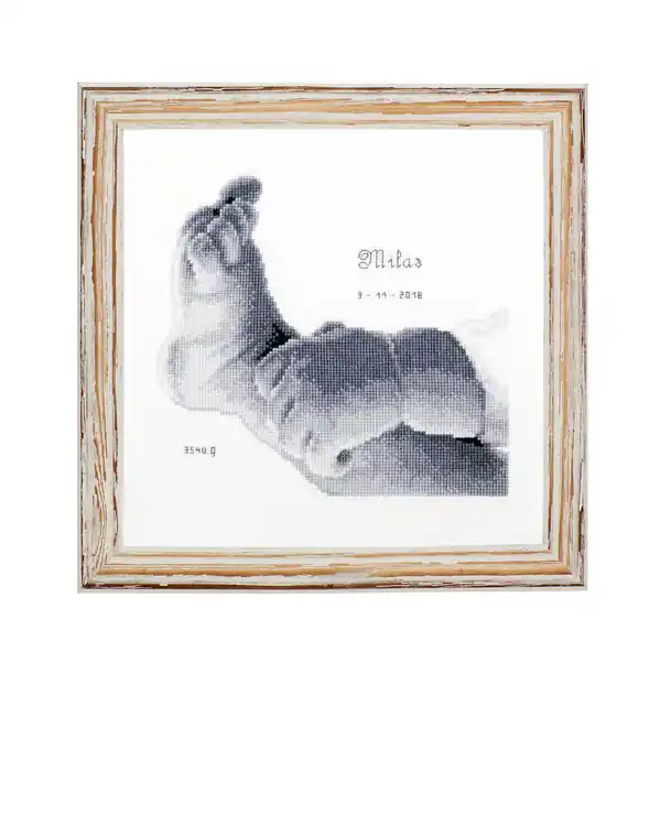 Zertifiziert Stickpackung Bild Kleiner Fuß