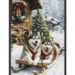 Top-Qualität Stickpackung Bild Der nordische Winter