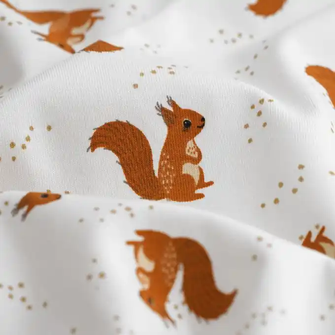 Top-Qualität Baumwolljersey Eichhörnchen Ecru