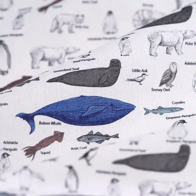 Highlight Popeline Baumwolle Arctic Weiß