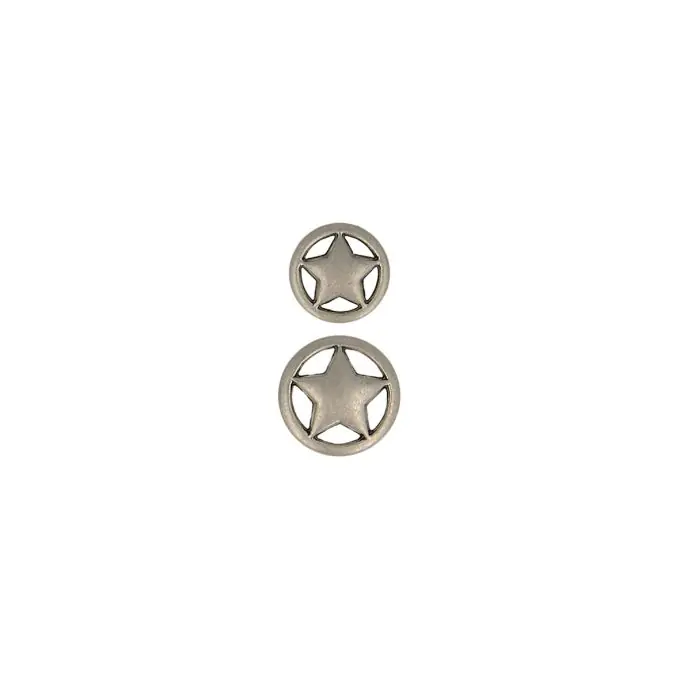 Knopf rund Stern silberfarben 18 mm Günstig