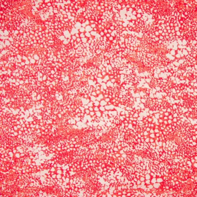 Viskose Crinkle Rot/Weiß Ausverkauf